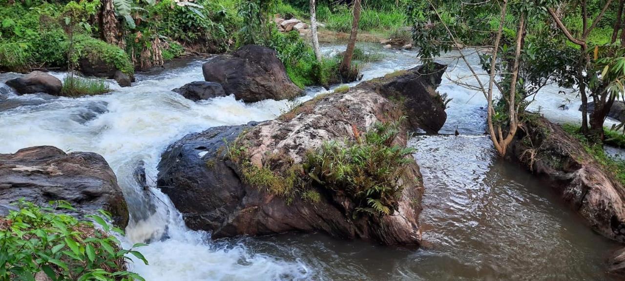 Linn View Home Stay مونار الغرفة الصورة