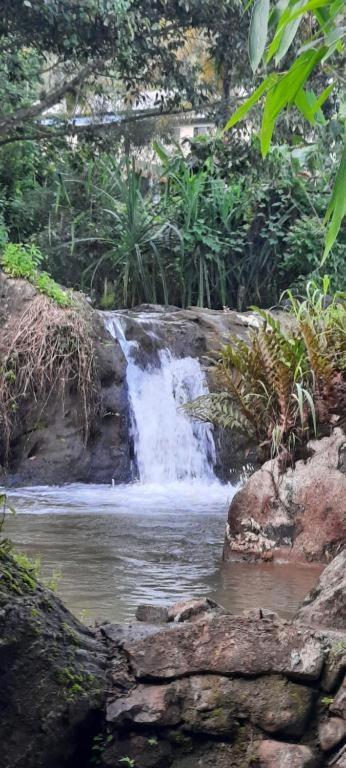 Linn View Home Stay مونار المظهر الخارجي الصورة